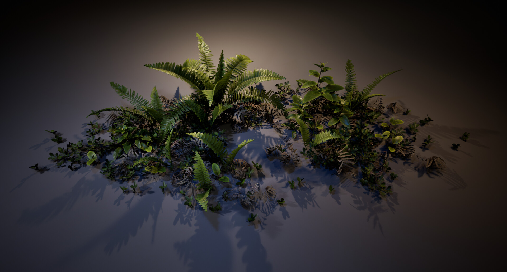 Fern diorama
