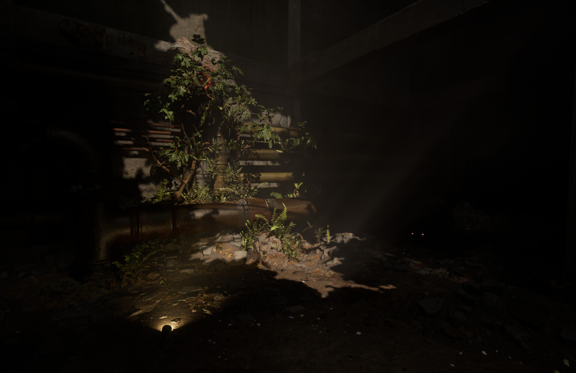 Environment Design