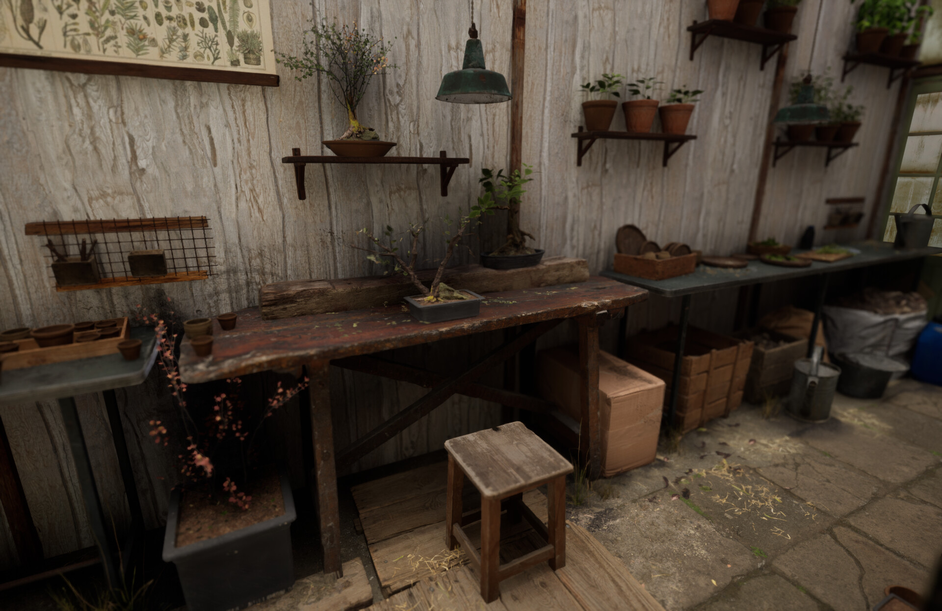 Set dressing study - Plants workshop — image 20