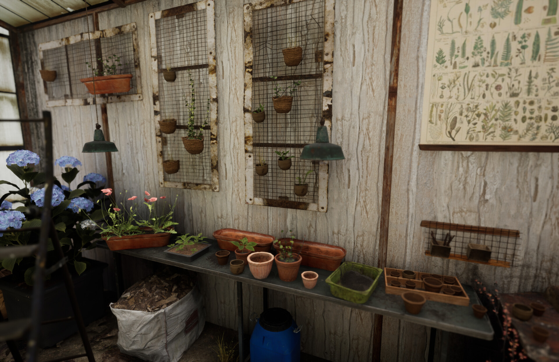 Set dressing study - Plants workshop — image 27