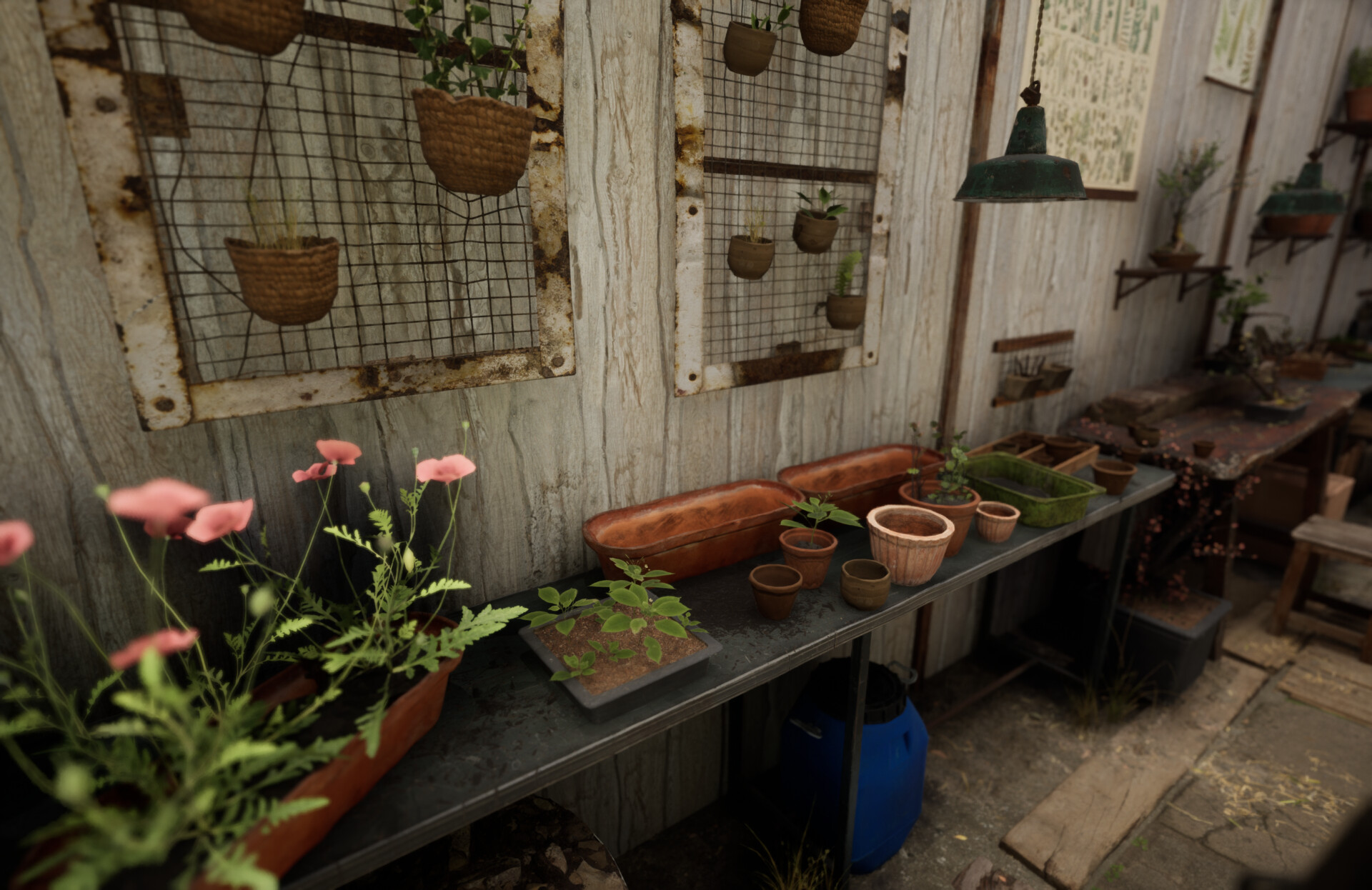Set dressing study - Plants workshop — image 30