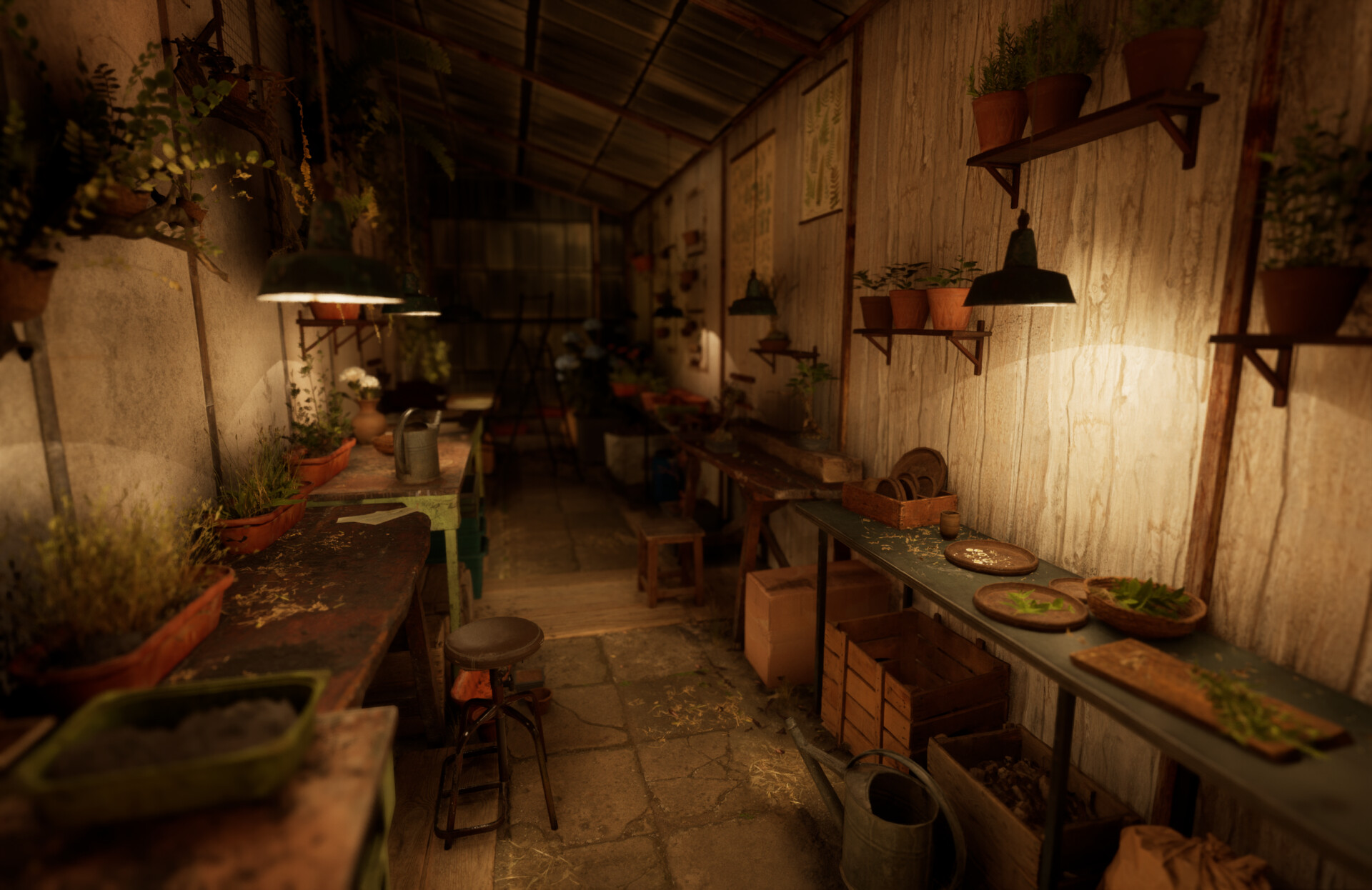 Set dressing study - Plants workshop — image 41