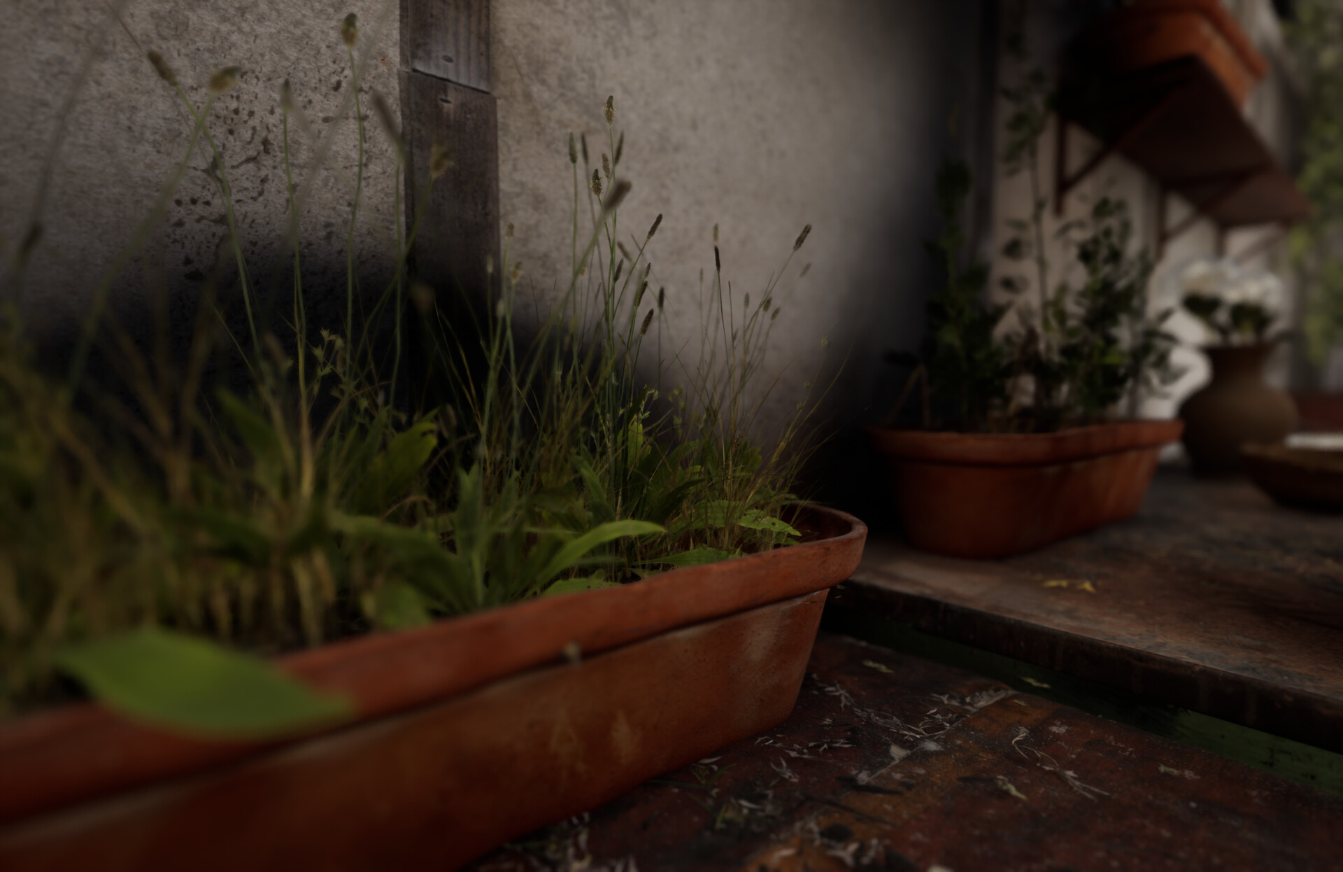 Set dressing study - Plants workshop — image 42