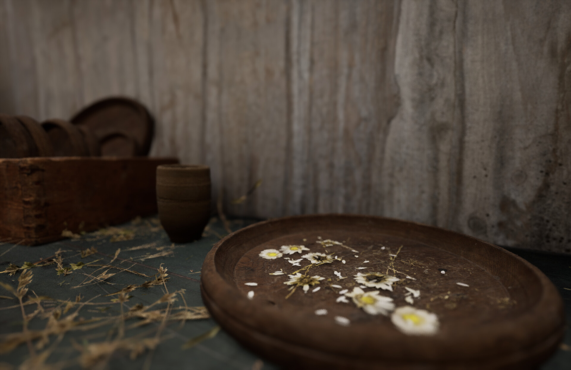 Set dressing study - Plants workshop — image 43