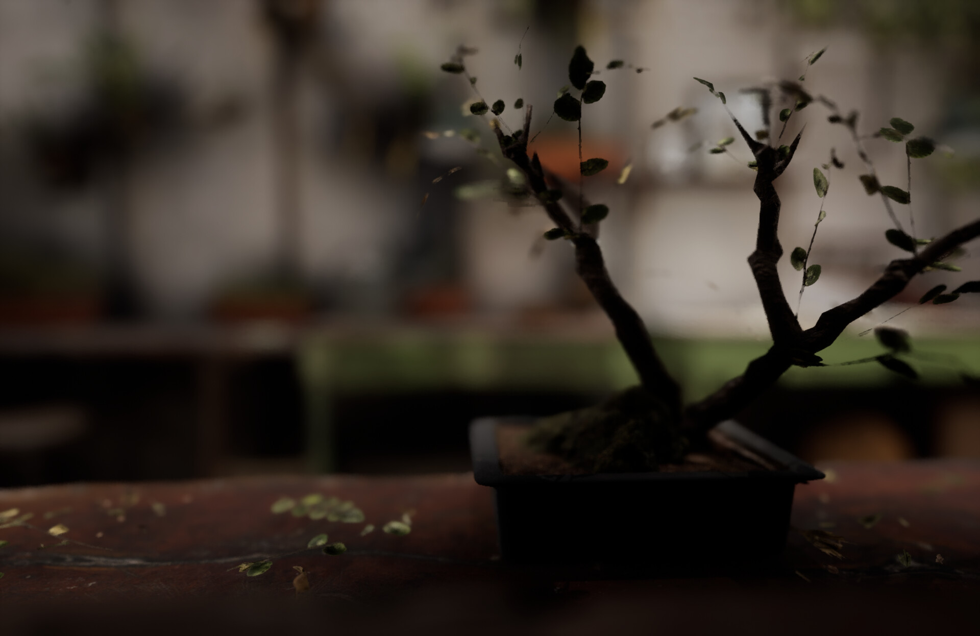 Set dressing study - Plants workshop — image 48