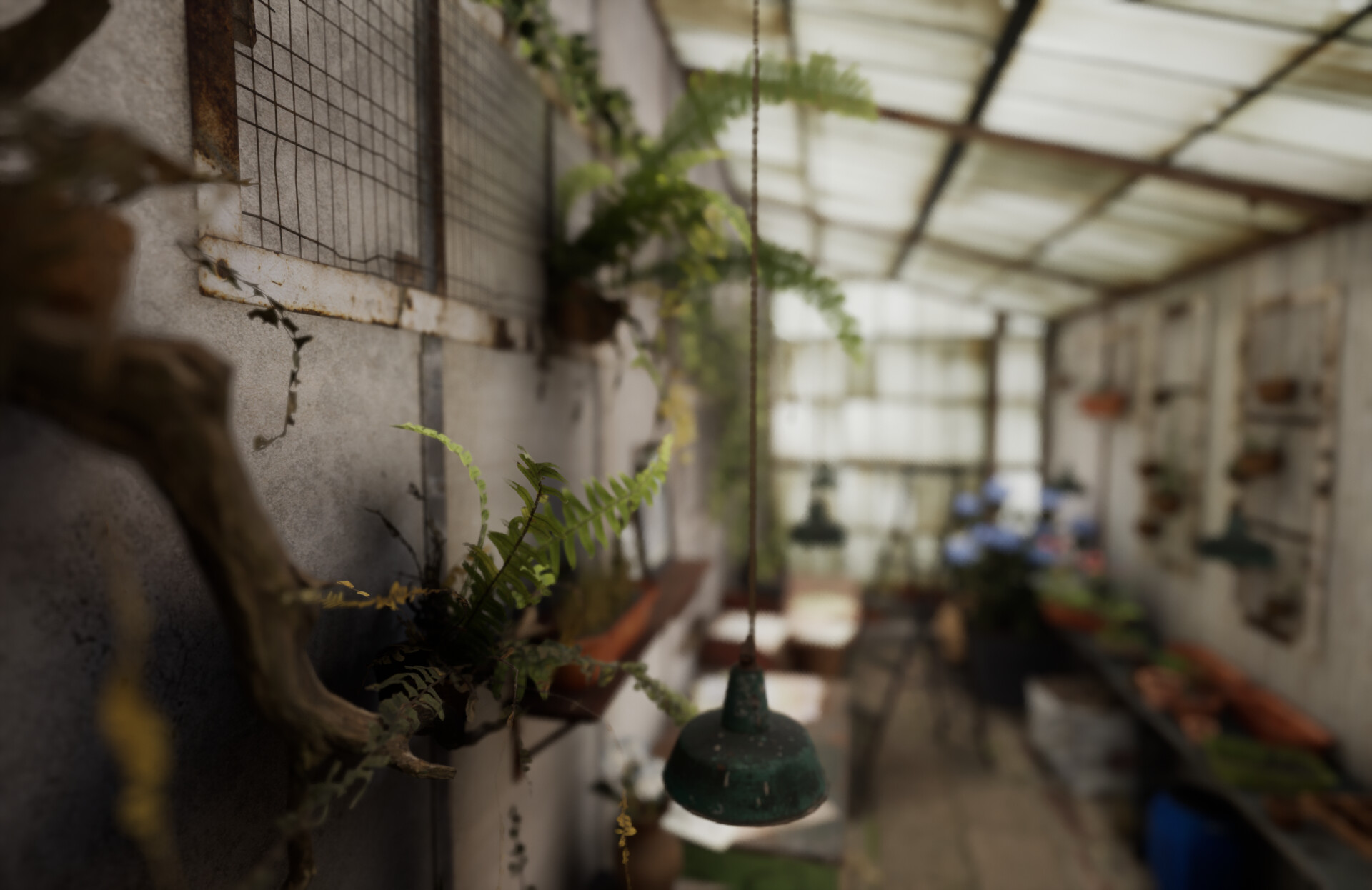 Set dressing study - Plants workshop — image 50