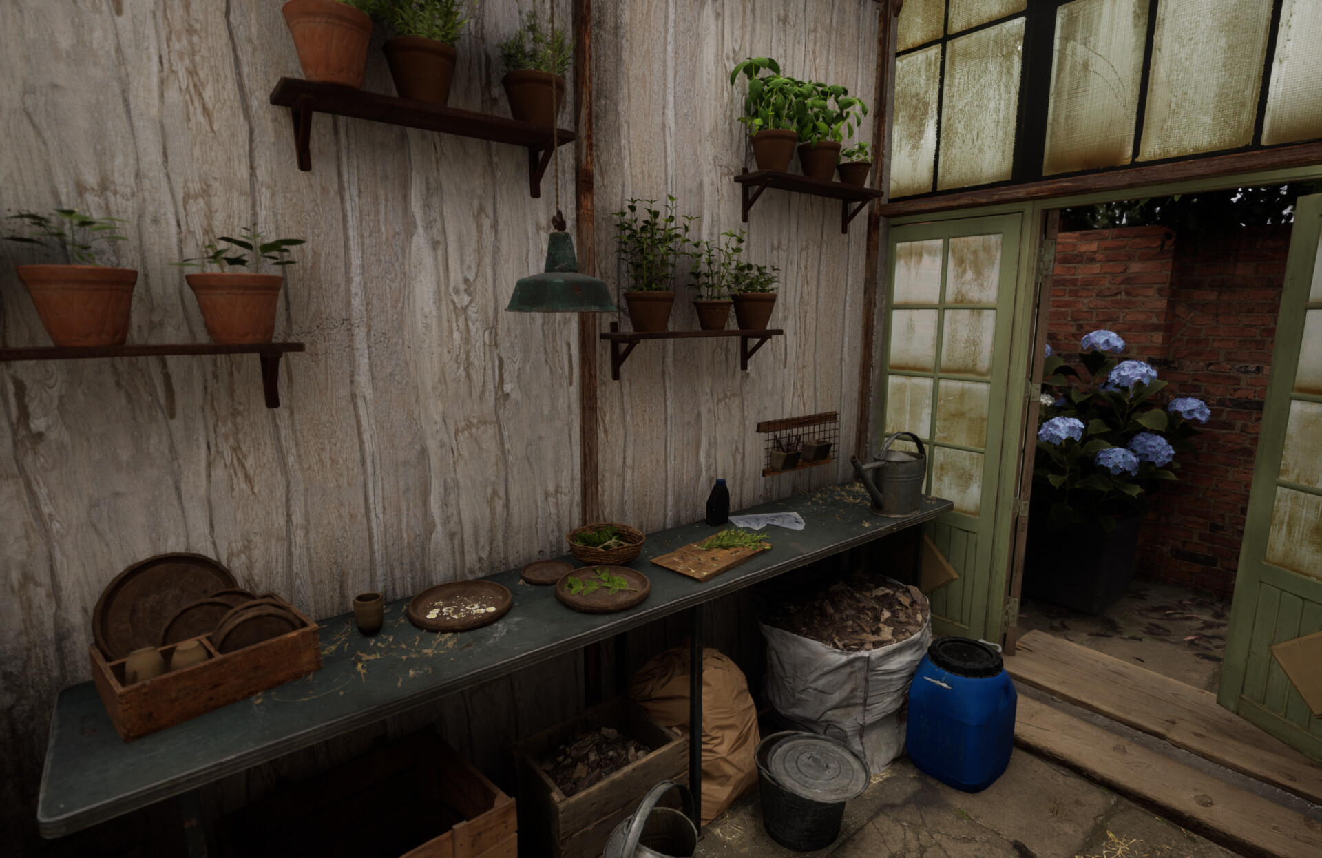 Set dressing study - Plants workshop — image 6