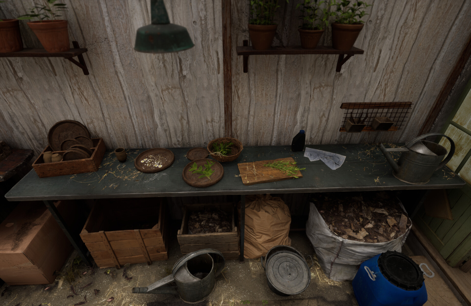 Set dressing study - Plants workshop — image 8