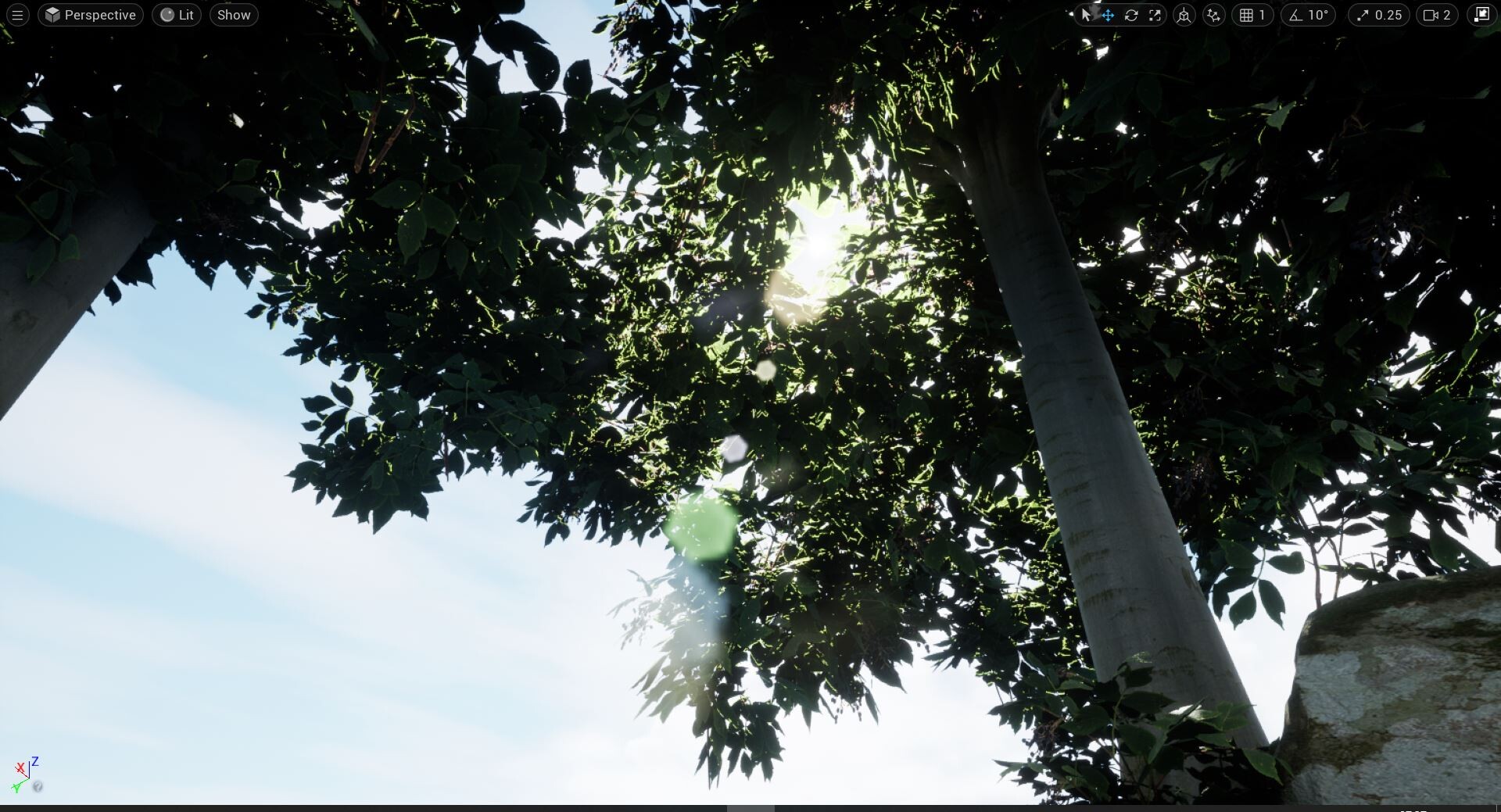 Set dressing study - Broadleaf Pot — image 15